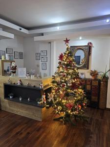 莫伊西德约斯Belvedere Resort Moieciu的一间房间中间的圣诞树