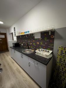 热舒夫Kwadrat Apartamenty Grottgera的厨房配有水槽和台面