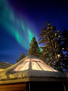 基律纳Northernlight cabin 2的天空中光辉灿烂的冰屋