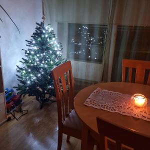 库雷萨雷Juuli apartament的客厅里的圣诞树,配有桌子