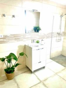 奇克拉纳－德拉弗龙特拉Brisa Home的一间带水槽、淋浴和植物的浴室