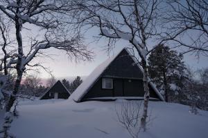 伊纳利Muotkan Ruoktu Tunturikyla的雪中树木繁茂的黑色房子