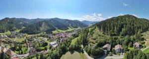 OberzeiringPension Hintergarten的享有山脉村庄的空中景致