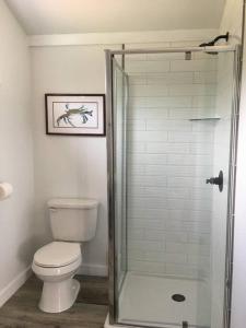 芒特艾里The Ranch in Mt Airy的一间带卫生间和玻璃淋浴间的浴室