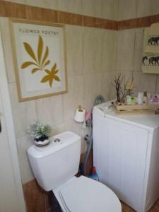路特奇Φιλόξενο σπίτι στο Λουτράκι!的一间带卫生间的浴室和墙上的照片
