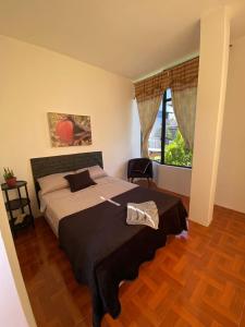 阿约拉港Galápagos Brunette Suites的一间卧室设有一张床和一个大窗户