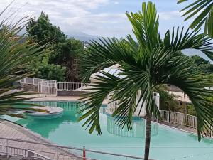 拉特里尼泰Zen 972的游泳池前的棕榈树