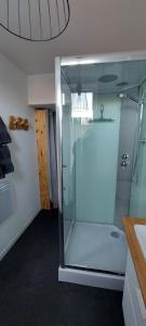 阿拉斯Entre les places, avec Parking Gratuit的一间带玻璃淋浴间和水槽的浴室