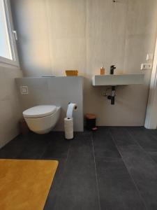 德布里阿赫Casa Tara的一间带卫生间和水槽的浴室