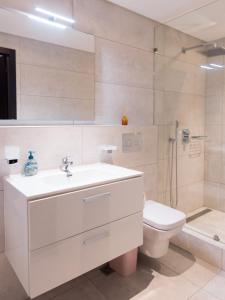 阿克拉Luxury 2 Bedroom Apartment East Legon - Accra的一间带水槽、卫生间和淋浴的浴室