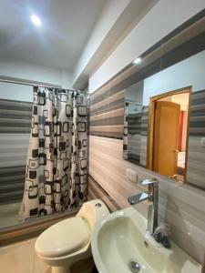 瓦拉斯Hotel Los Pajonales的一间带卫生间、水槽和镜子的浴室