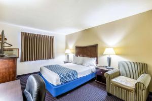 AuburnEcono Lodge Inn & Suites的配有一张床和一把椅子的酒店客房