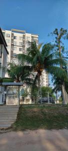 关丹Swiss Garden Resort Residence, studio, sea & pool view, high level unit的一座建筑前的公园里的棕榈树