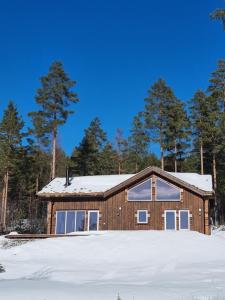 弗罗达尔Holiday cabin in beautiful surroundings的雪中树下的房屋