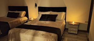 马尼萨莱斯Hotel Palo Grande的一间卧室设有两张床和一个带灯具的床头柜。