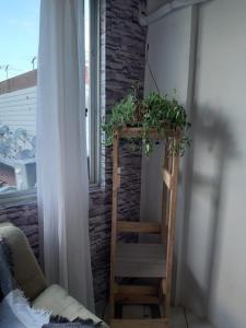 圣罗莎Casa Winter - Seu Quarto Ideal的木梯上的植物,靠窗