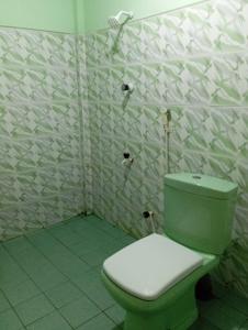 贾夫纳NMA Holiday Inn的一间位于客房内的带绿色卫生间的浴室