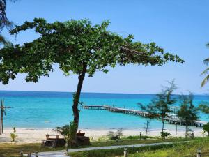 库德岛S海滩度假村的带有码头和树的海滩