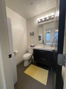 温哥华Mosaic Suite at The Inn On The Drive的一间带卫生间、水槽和镜子的浴室