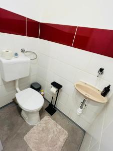 林茨Magnifique Appartment的一间带卫生间和水槽的浴室