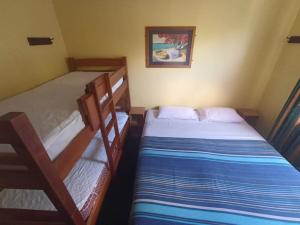 罗托鲁瓦Rotorua Central Backpackers的一间卧室配有两张双层床。