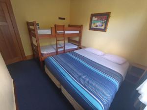罗托鲁瓦Rotorua Central Backpackers的一间卧室配有一张床和两张双层床。