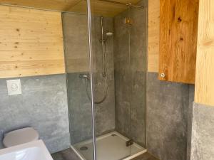 GeslauZinipi Retreat Mohrenhof的浴室里设有玻璃门淋浴
