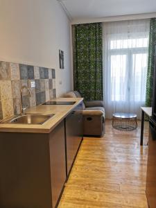 尼科西亚Unique City Centre Apartments的一个带水槽的厨房和一间客厅