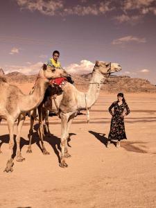 瓦迪拉姆Shahrazad desert, Wadi Rum的一名男子在沙漠中骑骆驼与一名妇女