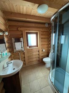 亚列姆切Knyazhyj Dvir的浴室配有卫生间、盥洗盆和淋浴。