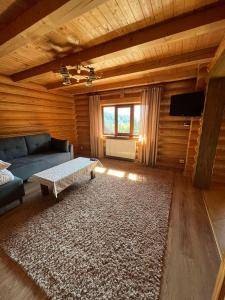 亚列姆切Knyazhyj Dvir的客厅配有蓝色的沙发和地毯。