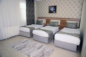 凡城迪梅特公园酒店的带三张床和地毯的房间