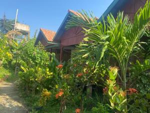 Muang KhôngKing Kong Restaurant and Bungalows的前面有一堆植物的房子