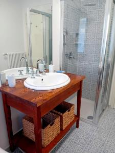 奥尔塔圣朱利奥Casa Longhi的一间带水槽和淋浴的浴室