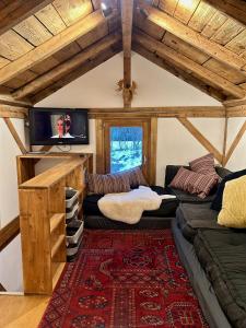 夏蒙尼-勃朗峰Gorgeous Mini-Chalet Chamonix的带沙发的客厅和天花板上的电视