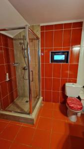 普洛耶什蒂托马膳食公寓酒店的红色瓷砖浴室设有淋浴和卫生间。