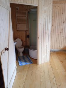 米库利钦Смерека的一间带卫生间和步入式淋浴间的浴室
