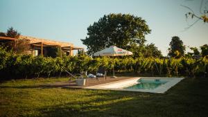 ProgresoPizzorno Lodge & Wine的一个带遮阳伞的庭院内的游泳池