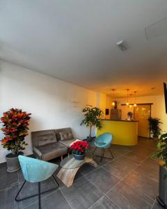 菲纳莱利古雷Joyfül Accomodation的带沙发和一些植物的客厅