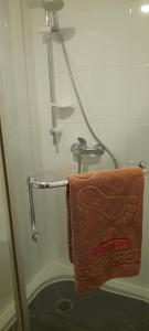 Edingen-NeckarhausenPension Haus Baron 2 Friedrichsfeld的浴室设有悬挂在淋浴上的毛巾