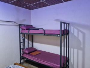 DharmastalaMaison Parnakuti Adigas Homestay Dharmasthala的客房设有三张双层床和紫色床单