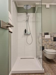 塞费塔尔祖尔林德酒店的带淋浴和卫生间的浴室