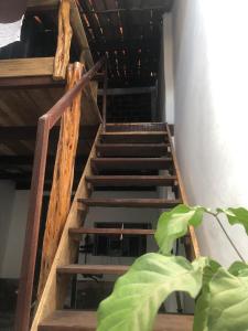 穆库热Hostel Solar的绿色植物的木楼梯