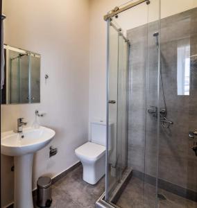 第比利斯New Tiflis Apartment Mziuri的带淋浴、卫生间和盥洗盆的浴室