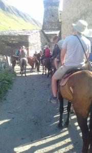 乌树故里Guesthouse Luka的一群骑马的人在土路下骑着