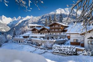 拉迪斯Alpin Chalet am Burgsee的雪覆盖的山间度假村