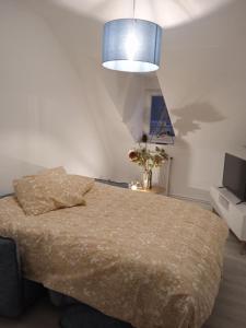 米卢斯La Mulhousienne de France的一间卧室配有一张床和一盏蓝灯