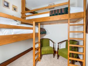 埃斯克代尔3 Bed in Eskdale SZ502的一间卧室配有带梯子的双层床和两把椅子