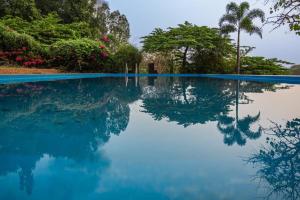 亨比LEO COMFORTS RIVER SIDE的拥有蓝色海水和树木的游泳池