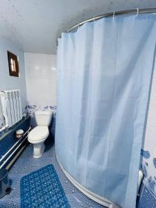 布哈拉"CHOR MINOR" BOUTIQUE HOTEL UNESCO HERITAGE List Est-Since 2003的一间带卫生间和淋浴帘的浴室